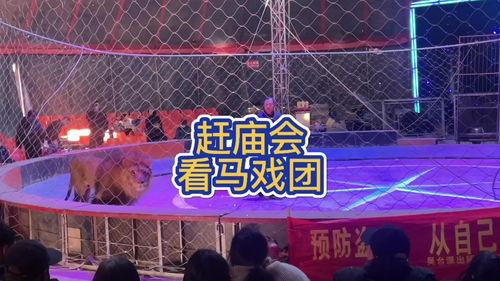 豫东团队爆料视频,惊人内幕曝光! 第3张 豫东团队爆料视频,惊人内幕曝光! 第3张