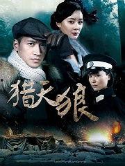 电视剧猎天狼在线观看,揭秘神秘特工的卧底生涯  第3张